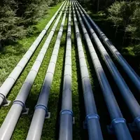 Delek Logistics Partners: Enduring Strength and Growth Potential
