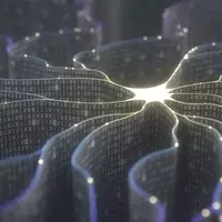 Miivo Expands AI Platform into Service Industries, Emphasizing Customization and Hybrid Approach