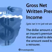 Understanding Gross Net Written Premium Income (GNWPI)