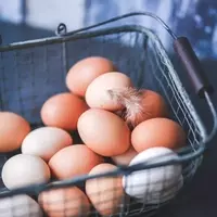 Cal-Maine Foods: A Compelling Investment in the Egg Market