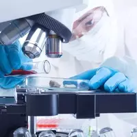 IDEAYA Biosciences: A Promising Investment in Oncology