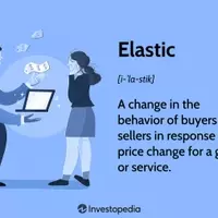 Understanding Elasticity in Economics: A Comprehensive Guide