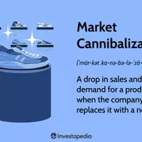 Understanding Market Cannibalization: Impact on Products and Sales