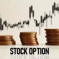 Understanding the Nuances of PFXF and Preferred Shares