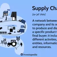 Understanding the Essence of Supply Chains: From Raw Materials to End Consumers