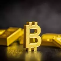 Analyzing the Bitcoin-Gold Dynamic: A Macro-Economic Perspective