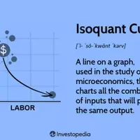 Understanding Isoquant Curves: Production Efficiency in Microeconomics
