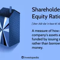 Understanding the Shareholder Equity Ratio: A Key Financial Metric