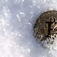 Bitcoin Struggles at $80,000 as Major Cryptocurrencies Dip 2%