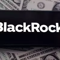 BlackRock Private Credit Fund Hit by Software Sector Woes, Registers 5% Decline