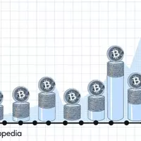 The Dynamic Price Evolution of Bitcoin