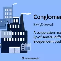 The Dynamics of Corporate Conglomerates: Structure, Evolution, and Impact