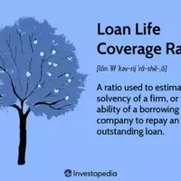 Understanding the Loan Life Coverage Ratio (LLCR)