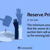 Understanding the Auction Reserve Price
