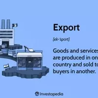 Understanding Exports: The Global Trade Mechanism