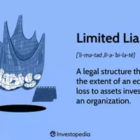 Understanding Limited Liability in Business Structures