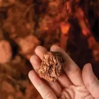 Copper Prices Approach Record Highs Amid Supply Shortages and Surging Demand