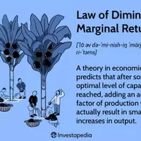 Understanding the Law of Diminishing Marginal Returns