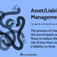 Understanding Asset-Liability Management: Strategies for Financial Stability