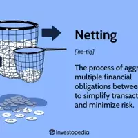Understanding Netting in Financial Transactions