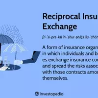 Reciprocal Insurance Exchanges: Understanding Member-Owned Risk Sharing