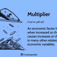 Understanding the Multiplier Effect in Economics and Finance