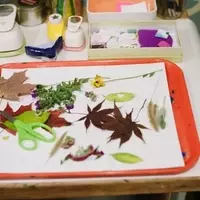 Crafting Autumn's Radiance: A Guide to Creating Vibrant Leaf Suncatchers