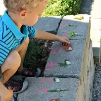 Outdoor Learning: A Leaf Counting Scavenger Hunt