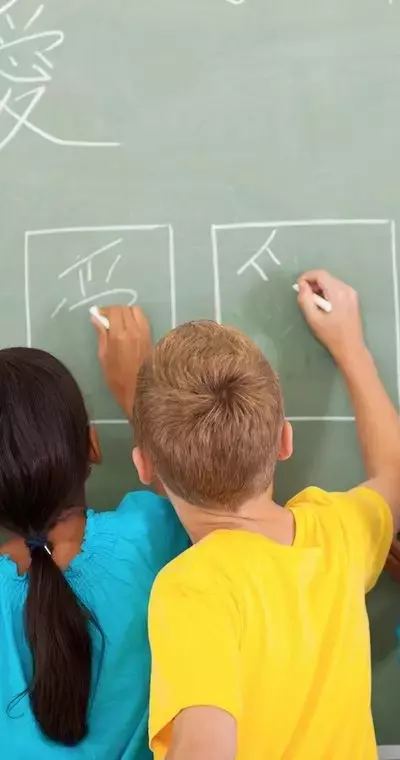 Online Chinese Class: Educational Structure, Core Concepts, and Learning Context
