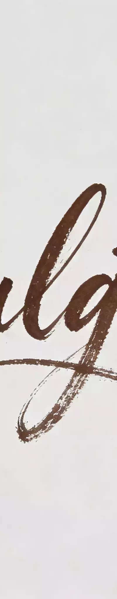 Modern Calligraphy: A Technical Analysis of Contemporary Scriptorium Practices