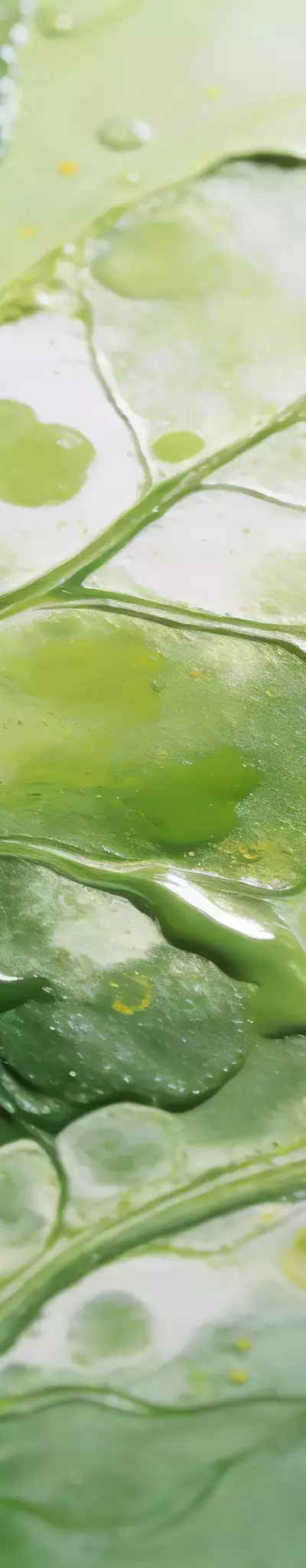 Fluid Art: The Physics of Rayleigh-Taylor Instability and Material Dynamics