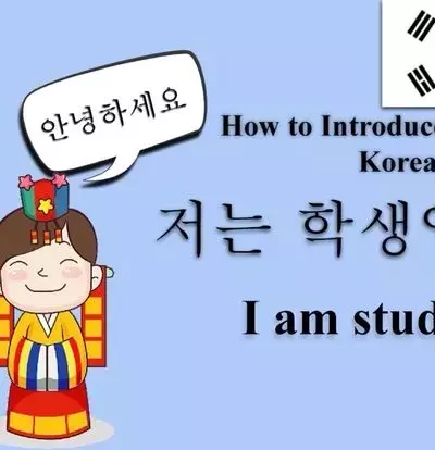 Korean Courses Near Me: Learning Formats, Curriculum Scope, and Educational Context