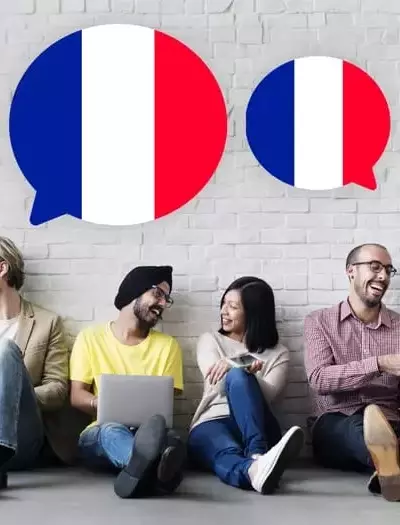 French Language Courses: A Systematic and Pedagogical Overview