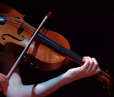 Violin Pedagogy: A Systematic and Technical Overview