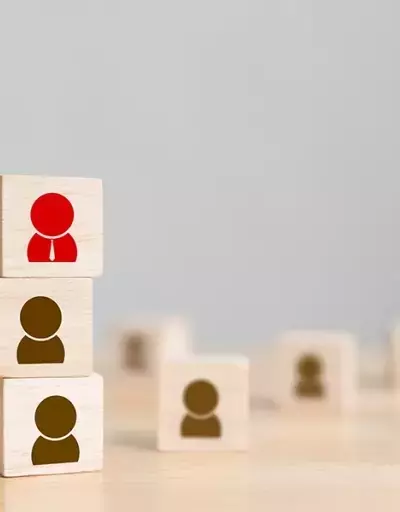 Human Resource Management Education: A Systematic and Professional Overview
