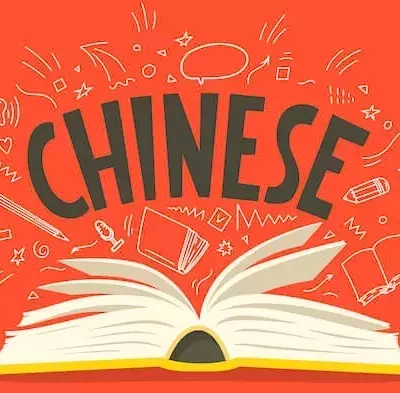 Chinese Language Curriculum: A Systematic and Pedagogical Overview