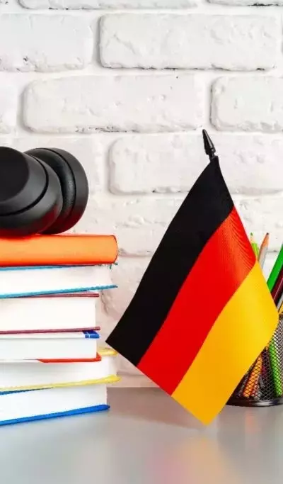 German Language Courses: Concepts, Approaches, and Educational Insights