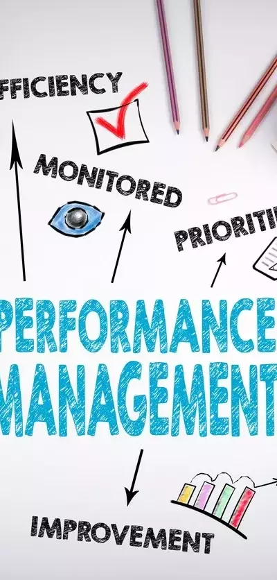 Performance Management Training: Understanding the Structure, Mechanisms, and Organizational Role