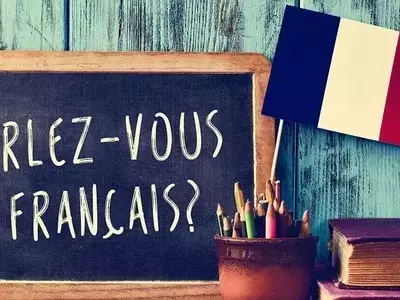 French Language Courses: Structure, Learning Mechanisms, and Educational Context