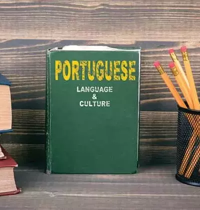 Portuguese Language Courses: Structure, Methodologies, and Educational Insights