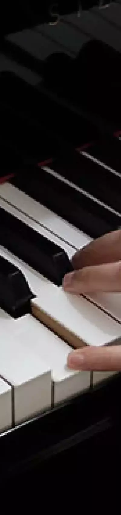 Violin Courses — Structure, Techniques, and Educational Contexts
