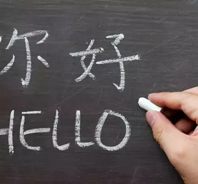 Chinese Language Courses: Foundations, Mechanisms, and Educational Context