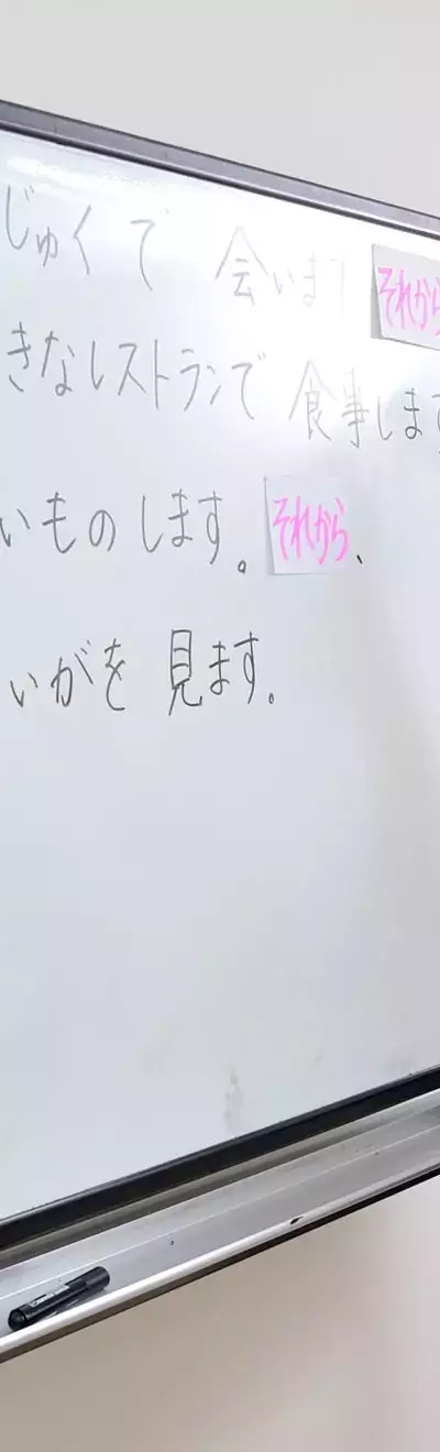 Japanese Language Courses: Structure, Learning Systems, and Educational Context