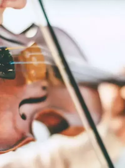 Violin Training: Fundamentals, Techniques, and Educational Approaches