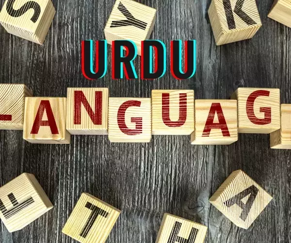 Urdu Language Courses: A Neutral Scientific Overview of Concepts, Mechanisms