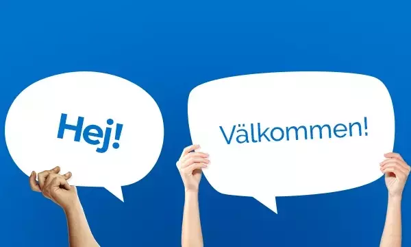 Swedish Language Courses: Linguistic Structure, Learning Mechanisms, and Educational Context