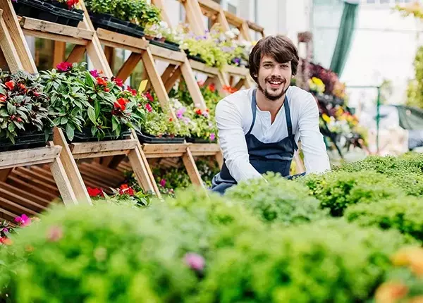Horticulture Courses: Principles, Learning Mechanisms, and Educational Applications