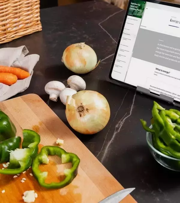 Nutritionist Training: Knowledge Systems, Clinical Applications