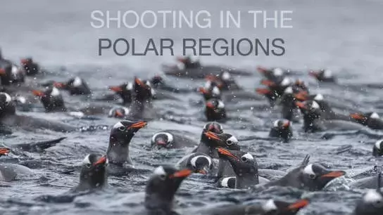 Capturing the Arctic: A Photography Masterclass