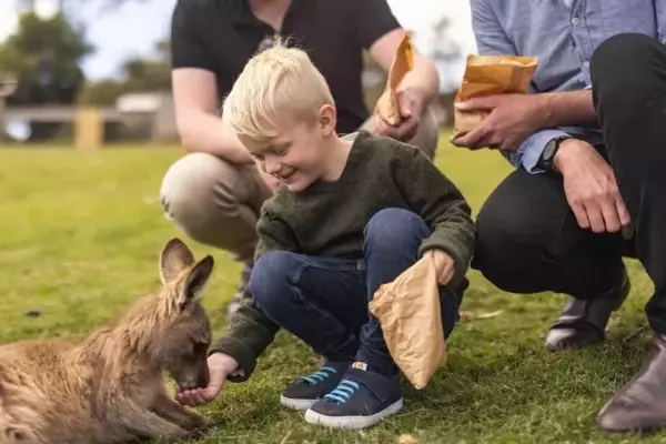 Tasmania: An Australian Family Adventure